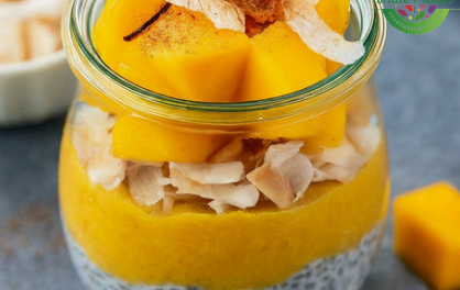 Tropical Mango Chia Pudding